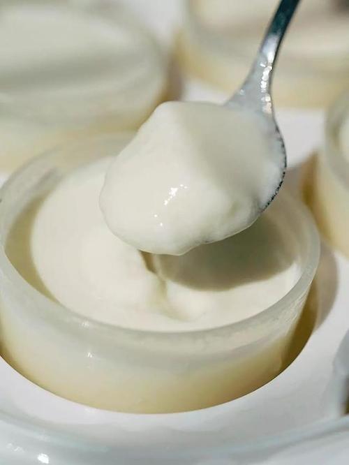 泰迪吃什么食物好，适合泰迪狗的食物（泰迪犬也能喂“人食”）