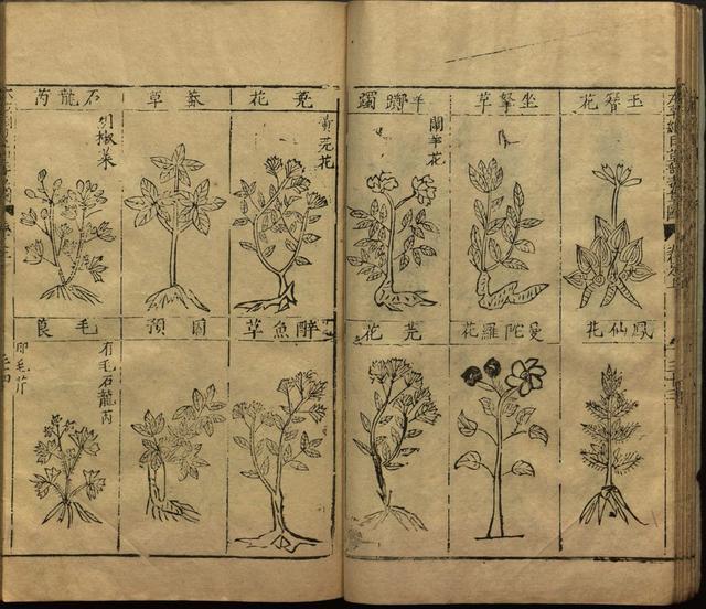 本草纲目全书带图，李时珍本草纲目全书（李时珍著《本草纲目》附图卷）