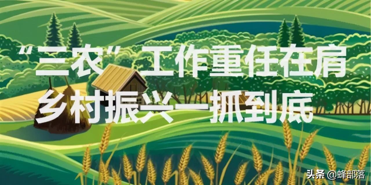 农村常见鱼类图鉴大全：认识池塘溪流里的各种食用鱼种及生态习性