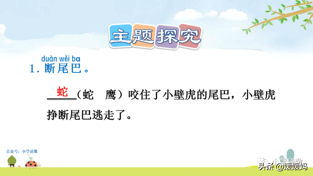 小壁虎的尾巴有什么功能，壁虎的尾巴有什么用（一年级下册语文课文21《小壁虎借尾巴》图文详解及同步练习）