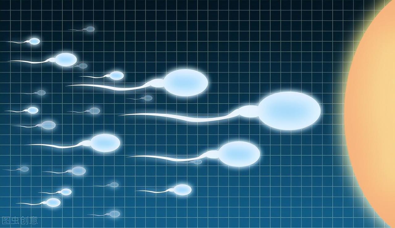精子在女性体内能存活多久(精子能存活一周吗)