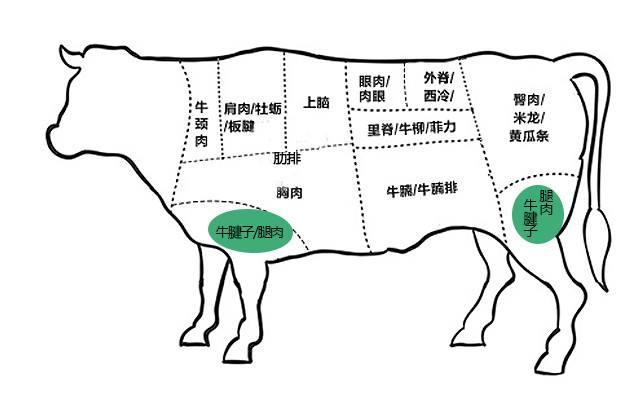 黄瓜条牛肉是牛的哪个部位呢，包牛肉馅饺子怎么挑选牛肉