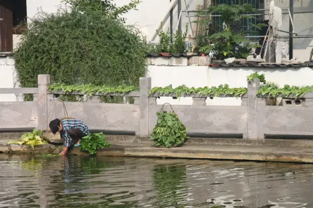 畚斗是哪里的方言，斗怎么读音是什么（诸暨话，最有个性的江南方言）