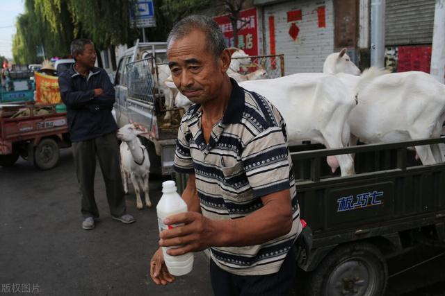 属羊的人干什么最挣钱，属羊人做什么行业发财（他靠这种方式赚钱值得借鉴）