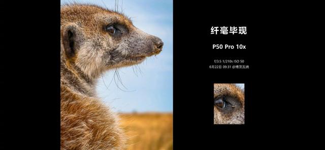 华为p50pro价格，华为P50PRO价格（4488/5988）