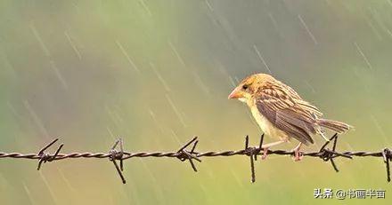 古代贺岁祝福语，古代贺岁祝福语简短（正月初二，诗词送祝福）