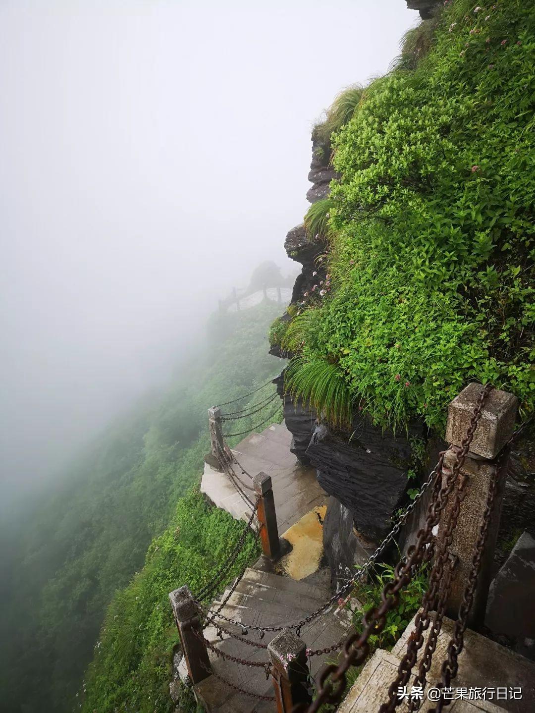 贵州梵净山门票多少钱一张，梵净山门票多少钱一张（梵净山被称为“贵州第一山”）