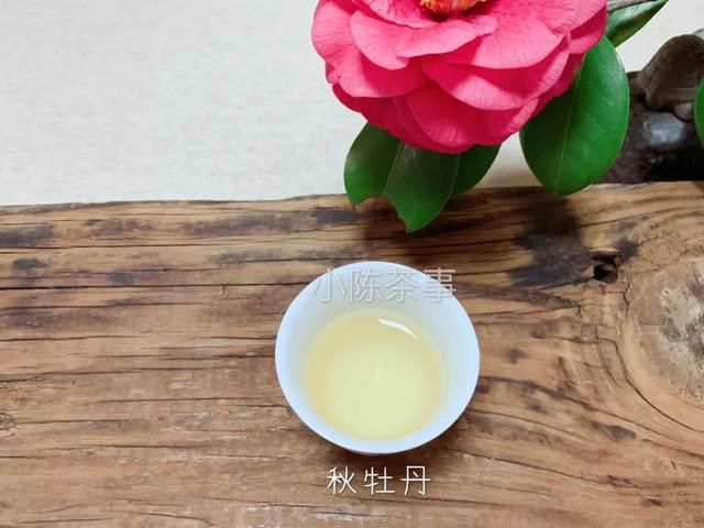 白牡丹茶怎么泡，白牡丹是什么茶（白茶春牡丹和秋牡丹）