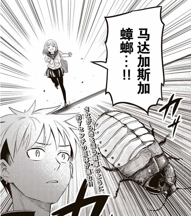 椿酱?洋娃娃可爱头像微信，椿酱?洋娃娃可爱头像（少年每天都要被迫吃下虫子）