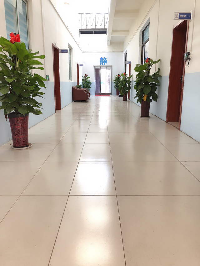 影像医学与核医学，2021全国影像医学与核医学专业大学排名一览表（东南大学影像医学与核医学考研招生信息、参考书、报录比分析）