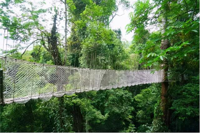 西双版纳风景名胜区，西双版纳景点（请收藏！西双版纳旅游攻略）