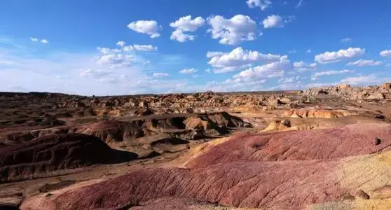 全国普通话排行！，普通话全国排名第一的是哪（全国普通话排行榜：北京最标准）