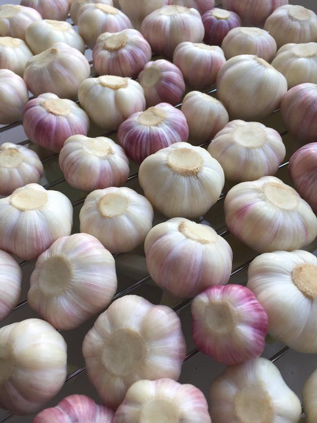 怎么在家里制作甜蒜，怎么在家里制作甜蒜泥（这配方我用了十几年）