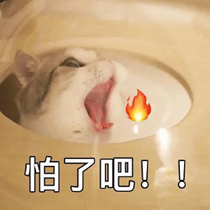 人食级别宠粮是智商税吗？有这2个认证的猫罐头，就可以闭眼入了