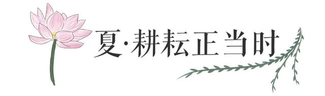 山东师范大学2021级本科新生大数据，厦门潍坊人数遥遥领先（山东师范大学2021年本科录取通知书正式发布）