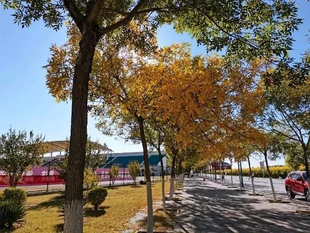 南开大学滨海学院是几本，南开大学滨海学院排名多少是几本（<一>南开大学滨海学院）