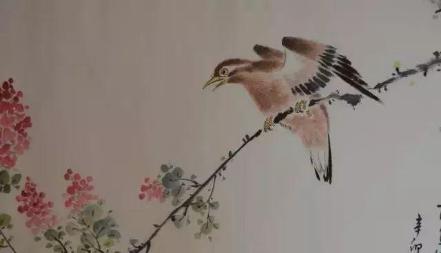 画眉鸟不叫有什么办法，画眉鸟不会叫怎么回事（让你的画眉成为最亮的崽）