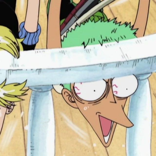 蟹bro是什么意思,bro是什么意思梗(收集海贼王最沙雕的图)