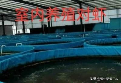 赚钱的项目(正规赚钱游戏app)