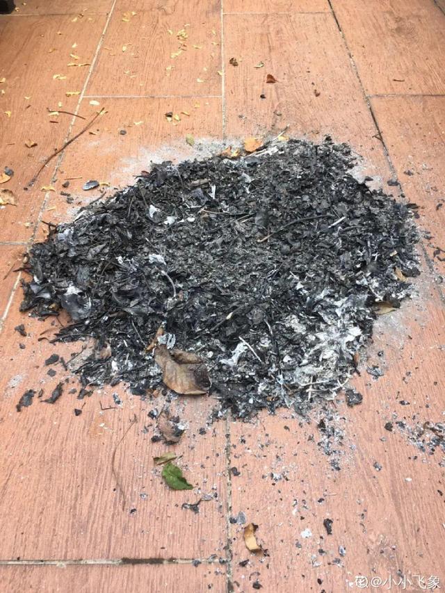 如何自制氮肥，自制氮肥怎么做（氮磷钾肥别买了）