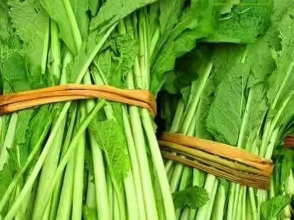 云南新平腌菜的腌制方法，云南《傣味水腌菜》的八种经典吃法