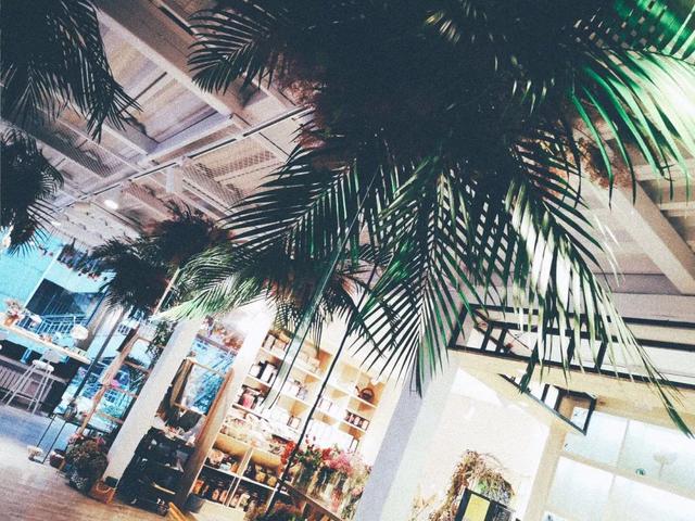 花店名字唯美浪漫取名，优雅浪漫的花店名字（“我在兰州开家花店）