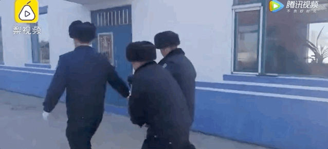 狍子为什么叫傻狍子，狍子为什么叫傻狍子视频（硬是把自己蠢成了国家保护动物…）