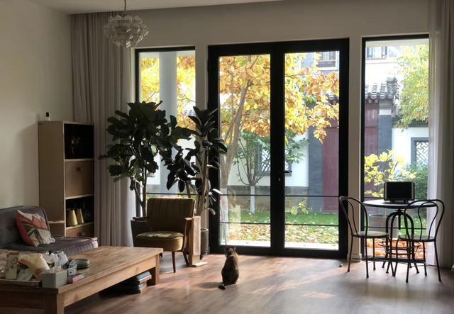 董卿是小三吗，董卿是第三者（“奉子成婚”坐拥豪宅）