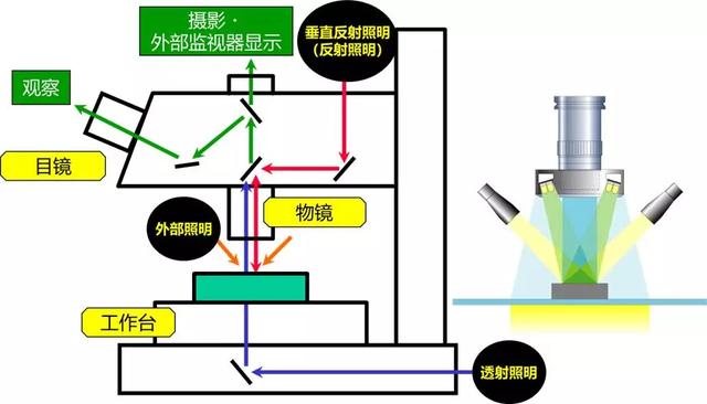 使用显微镜的步骤，显微镜的使用步骤顺序（一次搞懂工业测量显微镜）