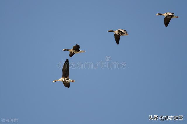 初冬是几月，初冬是几月在古代怎么形容（诗词里初冬美丽的别称）