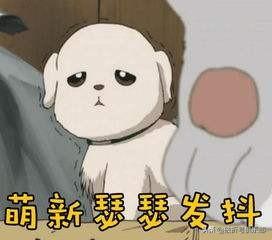 前程无忧上已查收和已查阅的区别，前程无忧里面已查收和已查阅的区别（萌新，你还有3个月的准备时间）