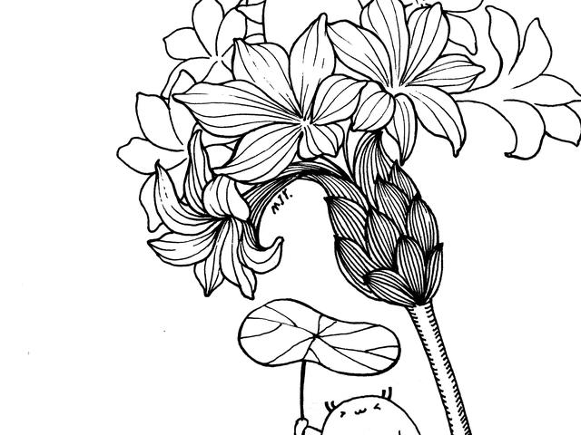 儿童简笔画入门初学技巧，幼儿入门简笔画（简笔画入门，手把手教你画）