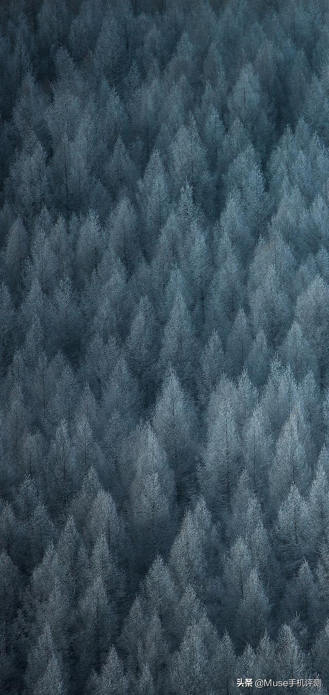 oppo手机壁纸，oppo手机墙纸（全面屏手机都可以用）