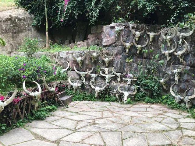 西双版纳旅游线路，请收藏！西双版纳旅游攻略（西双版纳9处最佳旅游景点）