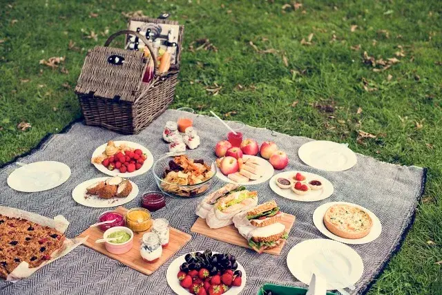 picnic是什么意思，picnic意思（最野的野餐，只在朋友圈里）