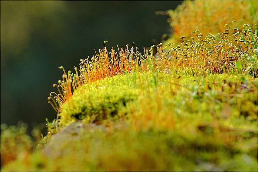 王蒙先生,19岁就立志写《青春万岁》这部小说.