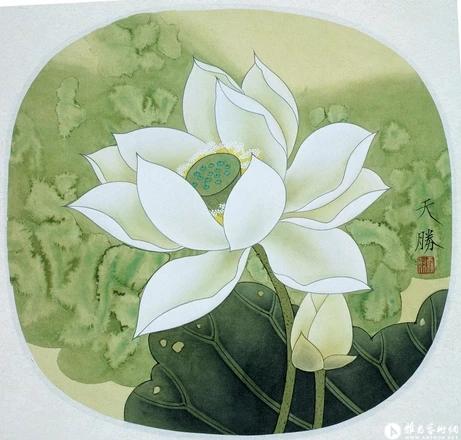 王天胜国画精品欣赏，现代工笔画院院长王天胜作品