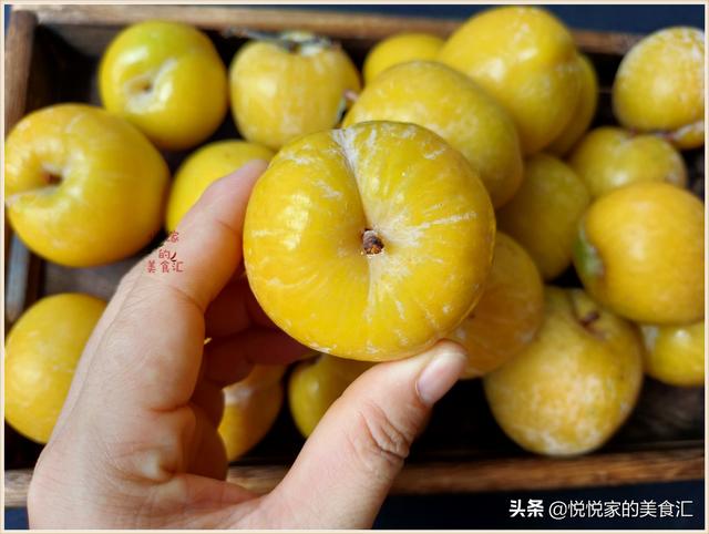 红布李的营养价值，红布李产地哪里的最好（避免买到又软又空的催熟李）