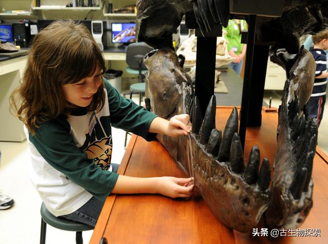 triceratops，triceratops是什么恐龙（三角龙能反杀霸王龙）