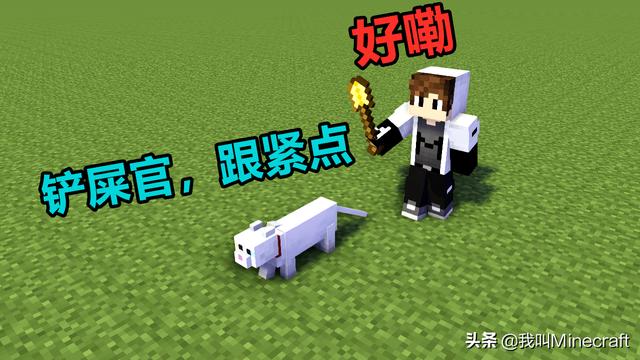 我的世界豹猫怎么驯服，我的世界里怎么驯服豹猫（关于猫的10个“冷”知识）
