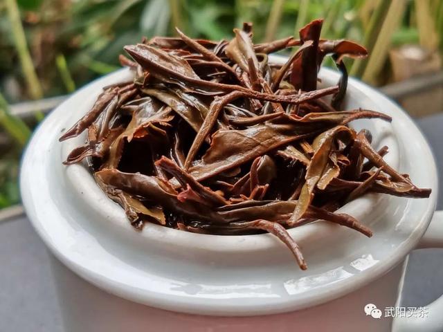 长江红红茶怎么泡，长江红是什么茶（形成红茶品质的条件和红茶基本特征）