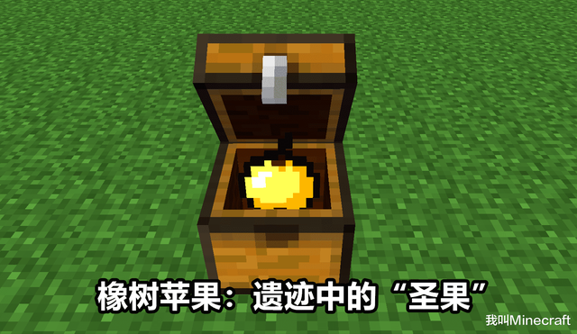 我的世界附魔金苹果怎么做，我的世界金苹果怎么做（《我的世界》为什么苹果会长在“橡树”上）