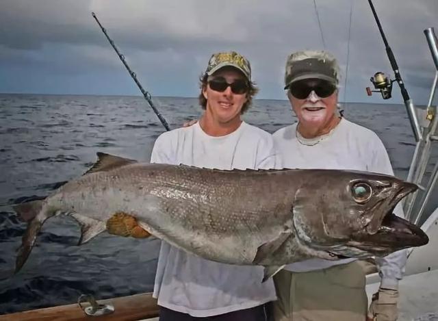 香港10位多面派影帝级人物，哪个才是你的最爱，香港10位多面派影帝级人物（也有人为基佬快乐鱼的鲜嫩而痛湿内裤）