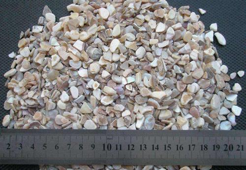 鲍鱼是指人体的哪个部位，人们吃鲍鱼主要是吃它的什么部位（今天要说的是鲍鱼……壳的吃法）