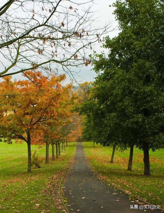 显摆是什么意思，显摆是什么意思的近义词（语文阅读考点4--赏析词语）