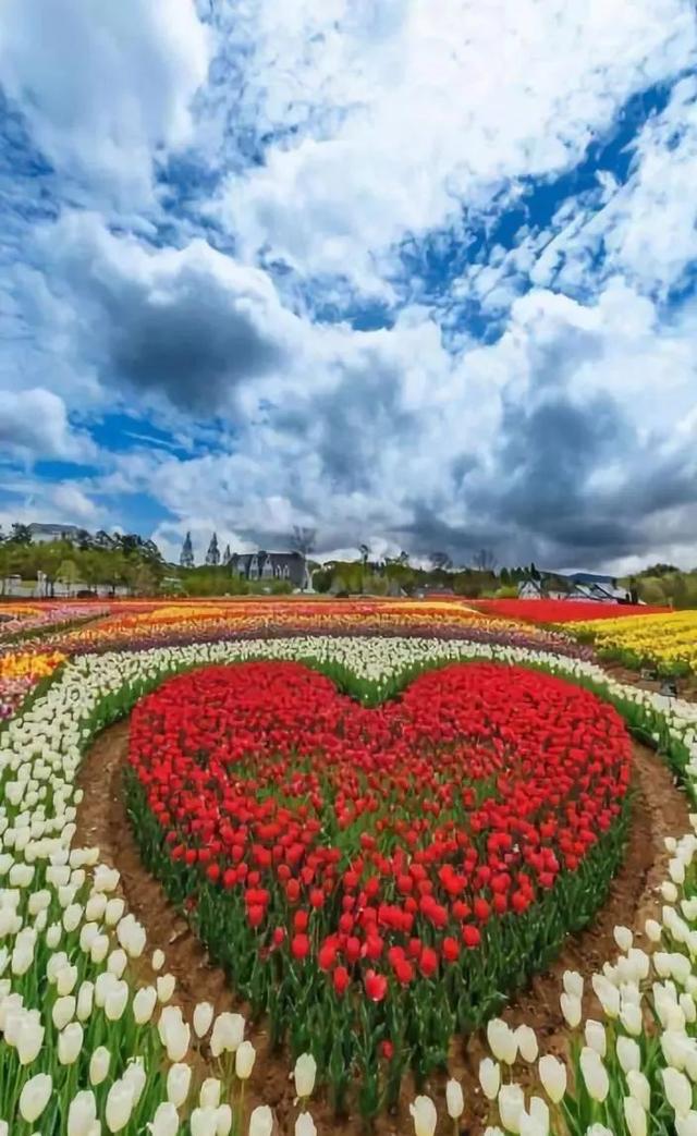 花景生多云讲什么，花景生（漫山遍野的鲜花，满眼春光）