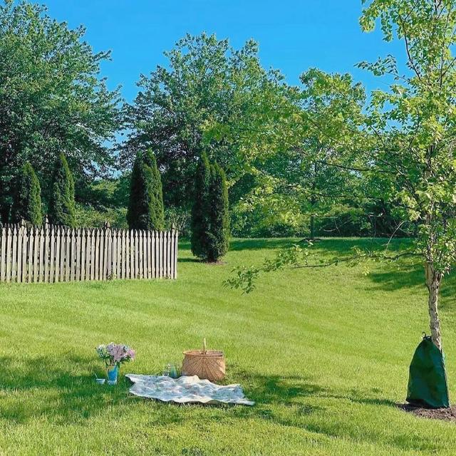 春日元气背景图 你的春日好运开始派件，请保持心情愉快，春日背景图怎么画（“春日”背景图）