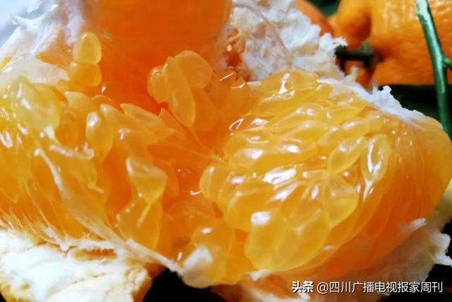 耙耙柑什么人不能吃，耙耙柑不能吃吗（好吃还不上火）