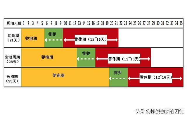 前七后八是安全期还是危险期，前七后八是安全期还是危险期15号来月经（为什么说安全期避孕之说是错误的）