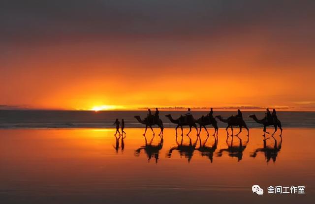 交卸是什么意思，交卸是什么意思网络用语（能看到儿子写的这篇文章）
